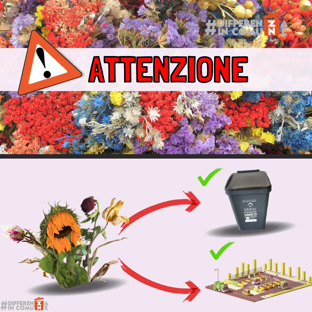 Fiori recisi