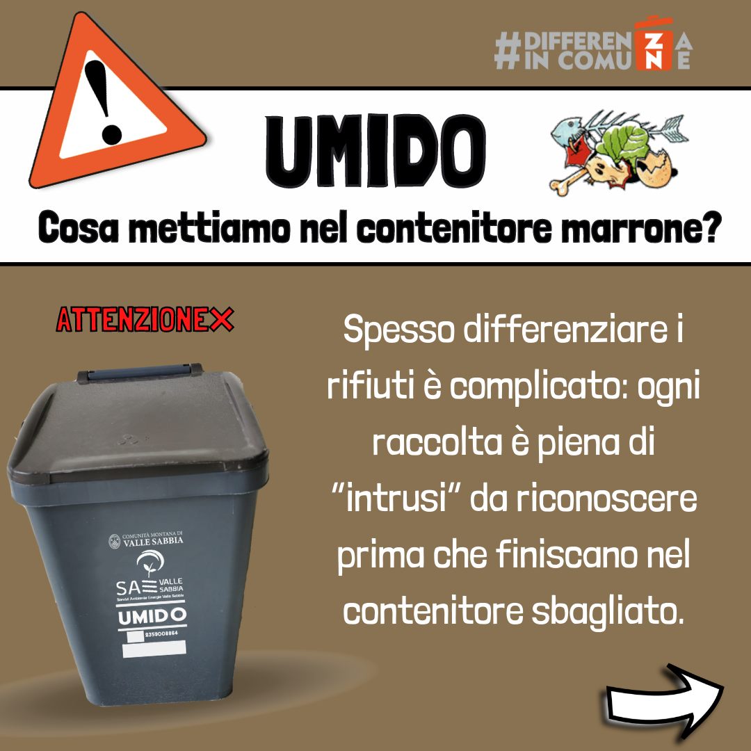 Umido 1