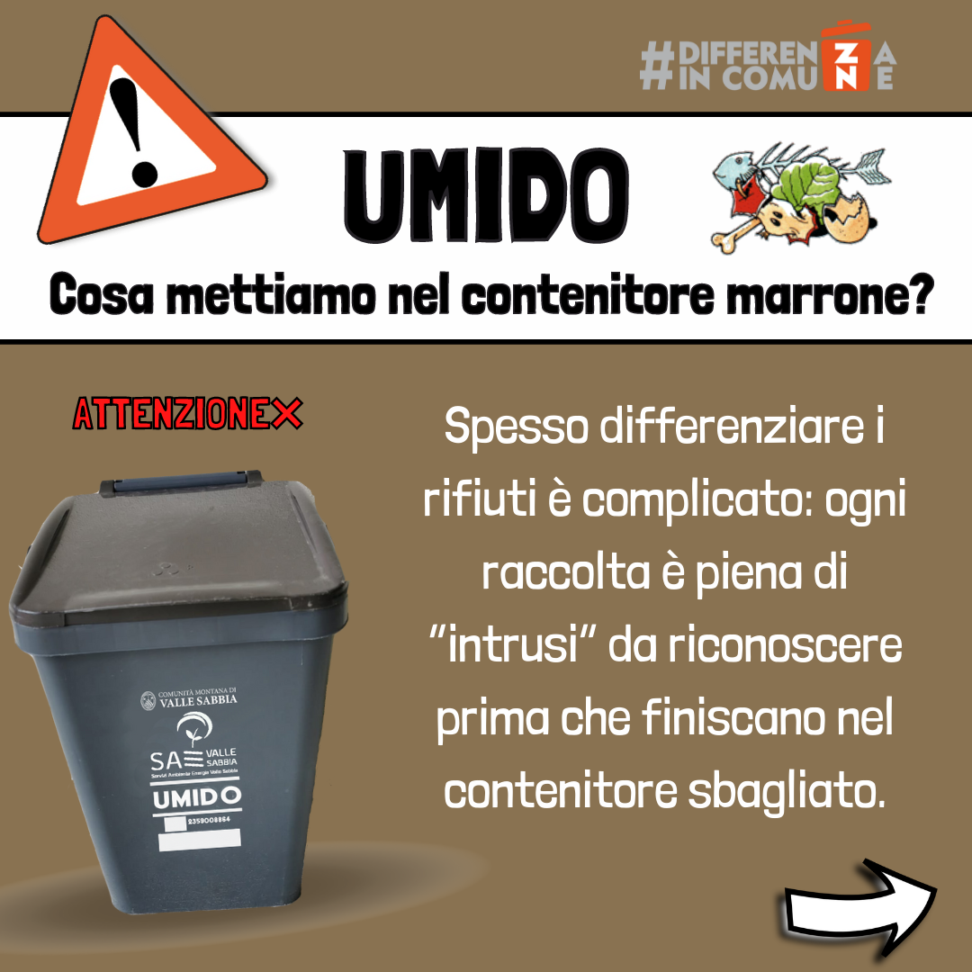 Cosa mettiamo quindi nel contenitore marrone dell'UMIDO? 🟤 -  differenzaincomune