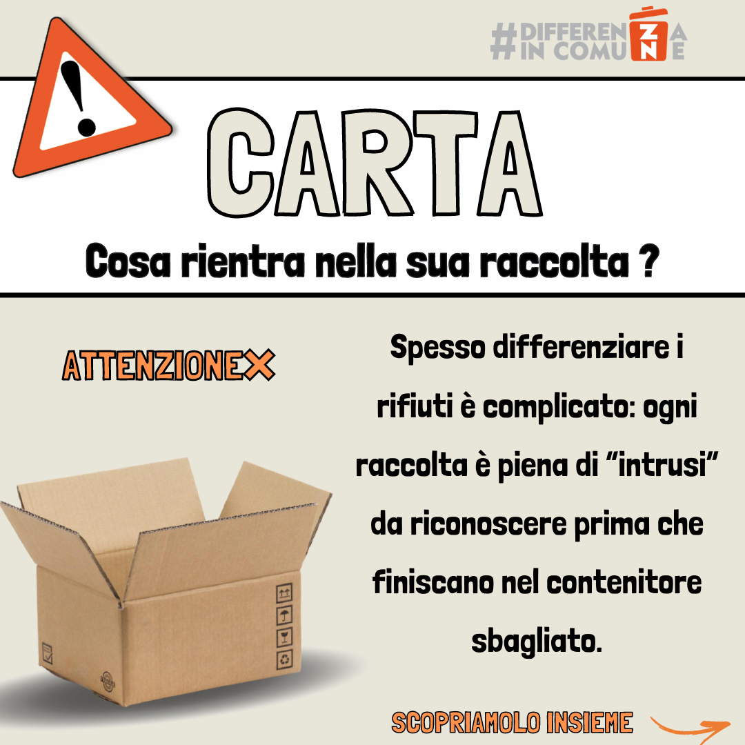 Carta si no