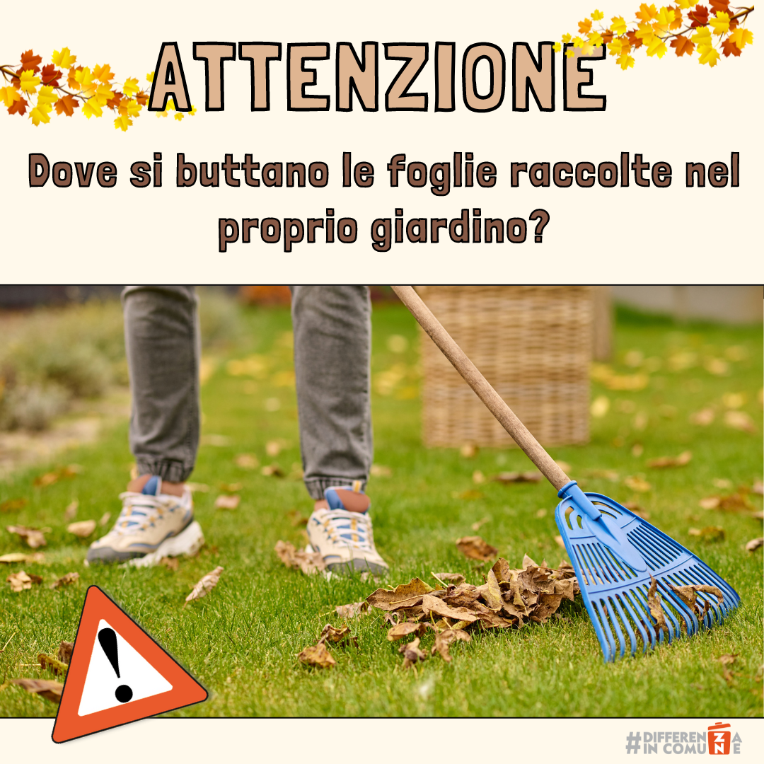 Autunno e foglie_1