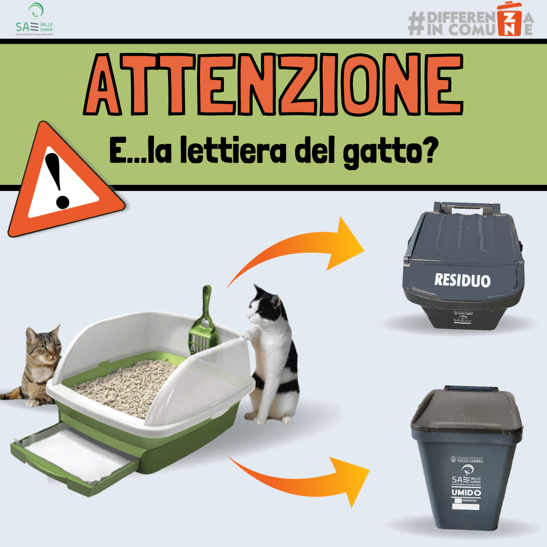 Lettiera del gatto (1)