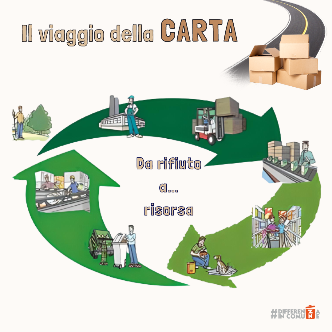 IL CICLO di vita DELLA CARTA …UN VIAGGIO da rifiuto a risorsa