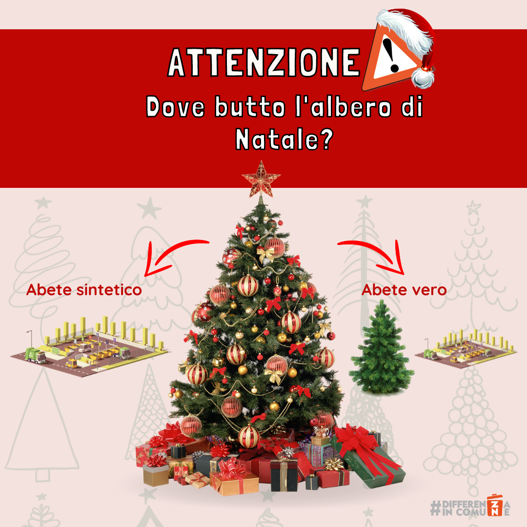 Dove butto l'albero di Natale…