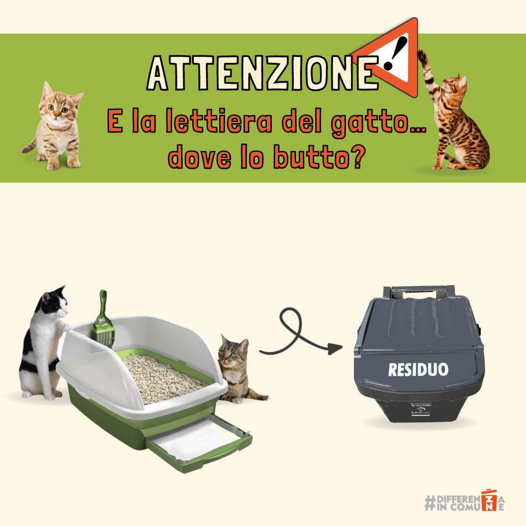 E la lettiera del gatto… dove lo butto