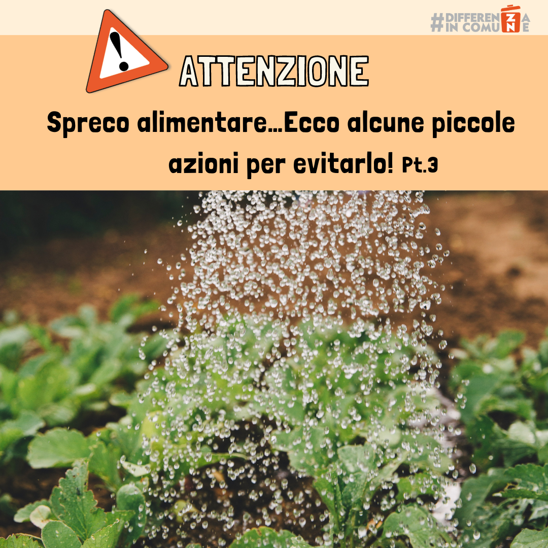 1_Spreco alimentare