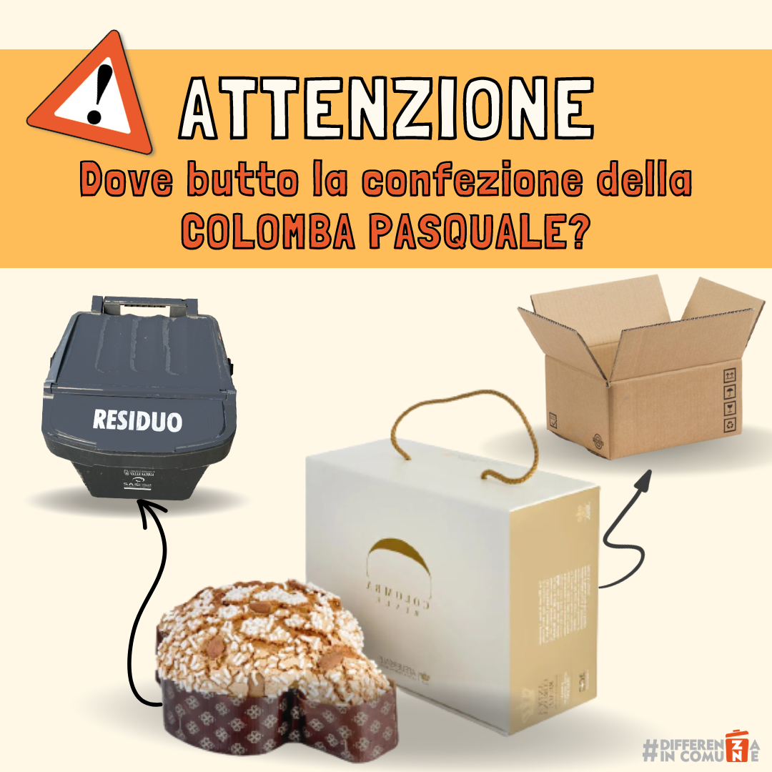 colomba
