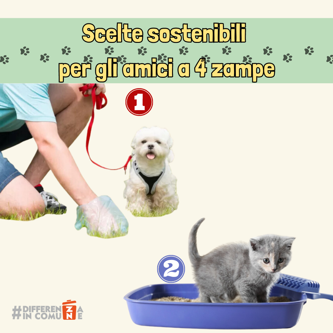 01-08-2023 - Scelte sostenibili per gli amici a 4 zampe (1)