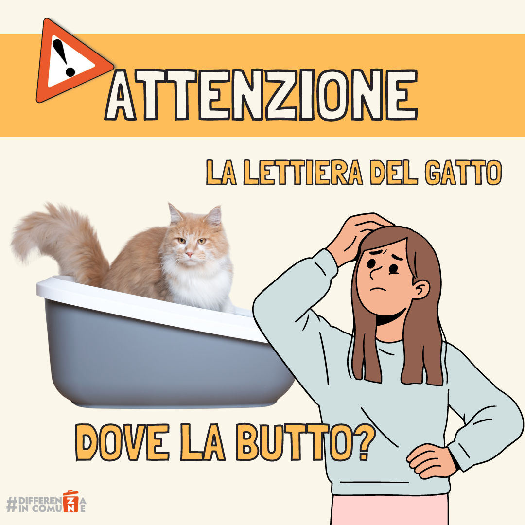 30012024 - E la lettiera del gatto... dove lo butto