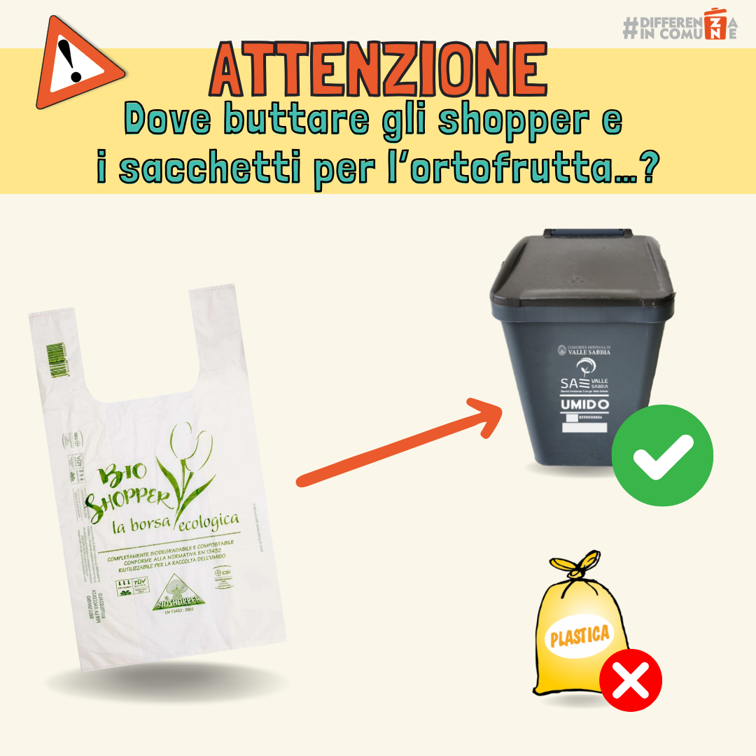 21022025 - Dove buttare gli shopper e i sacchetti per l’ortofrutta…