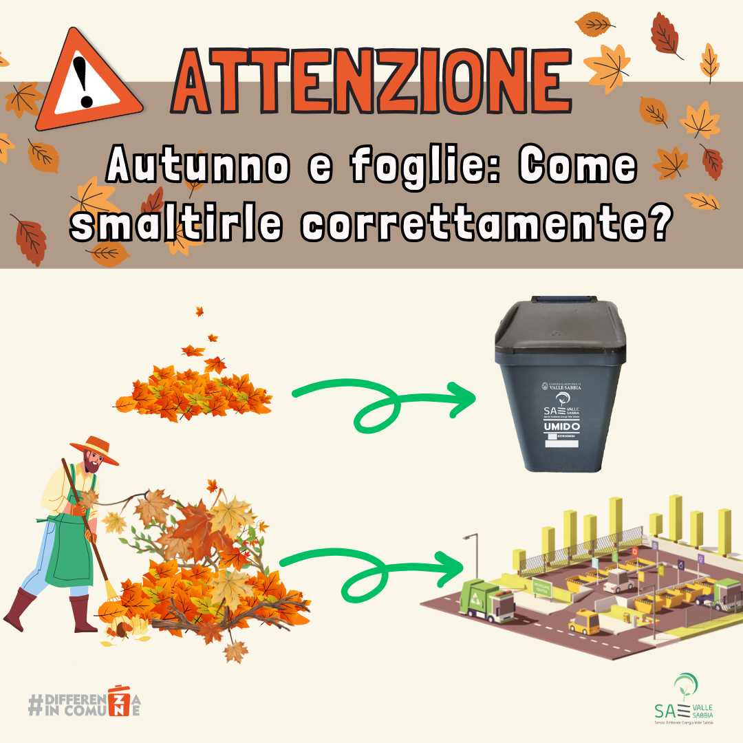 Autunno e foglie Come smaltirle correttamente (3) Autunno e foglie Come smaltirle correttamente (3)