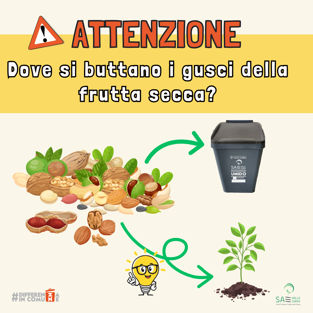 Dove si buttano i gusci della frutta secca (1) Dove si buttano i gusci della frutta secca (1)